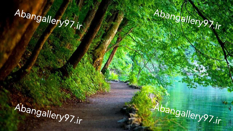 تابلو دکوراتیو 70*100 درجه1