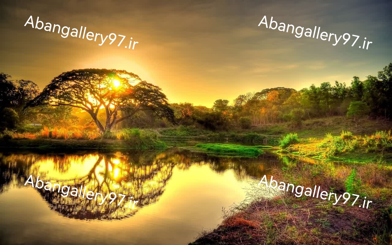 تابلو دکوراتیو 70*100 درجه1