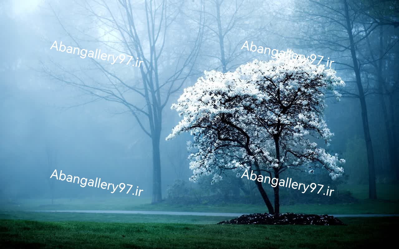 تابلو دکوراتیو 70*100 درجه1