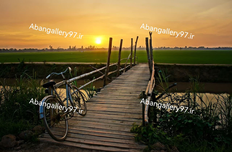 تابلو دکوراتیو 70*100 درجه1