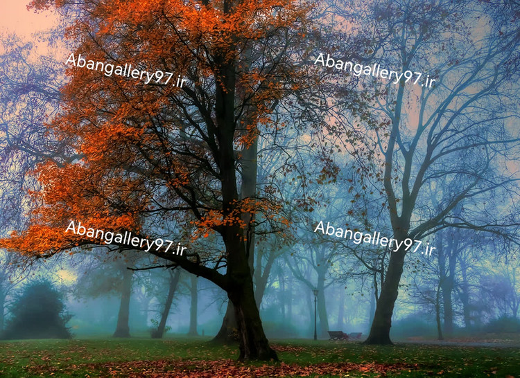 تابلو دکوراتیو 70*100 درجه1