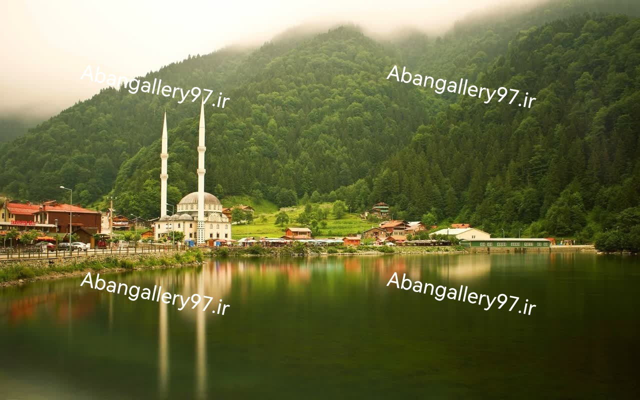 تابلو دکوراتیو 70*100 درجه1